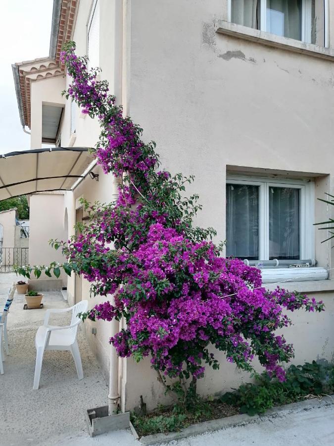 La Maison De 6Fran Appartement 2 Chaleureux Et Calme Ambiance Familiale Valros 외부 사진