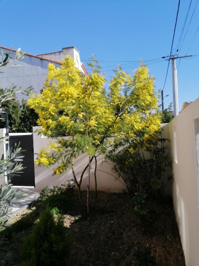 La Maison De 6Fran Appartement 2 Chaleureux Et Calme Ambiance Familiale Valros 외부 사진